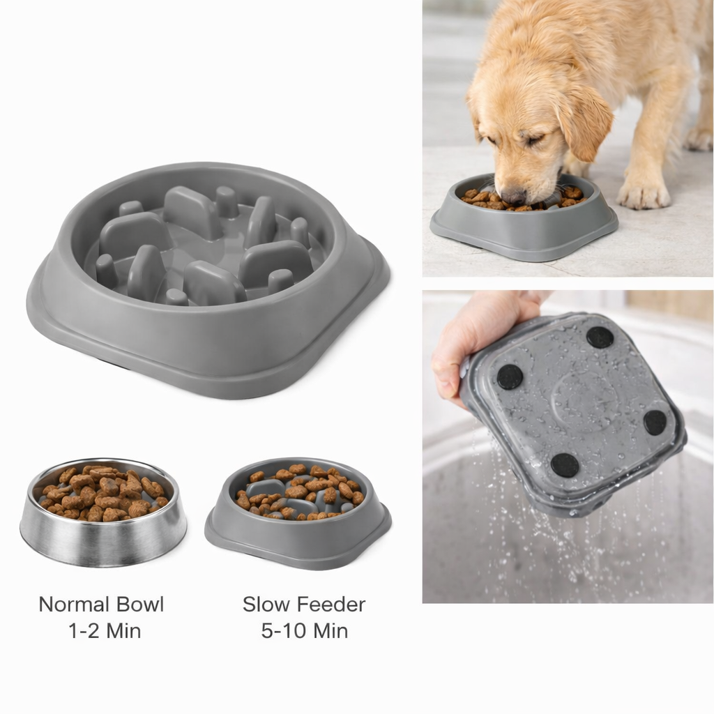 Slow Feeder Skål – Roligere Måltider til Hunde